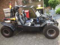 Mike_Buggy 800L