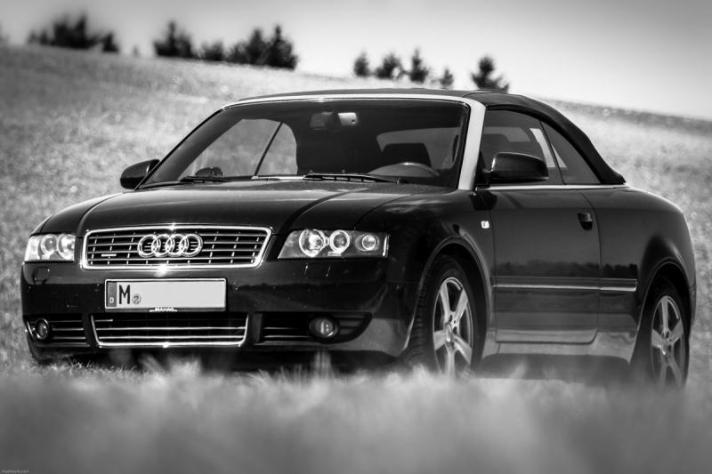 IMG 7941-Bearbeitet-a-1200