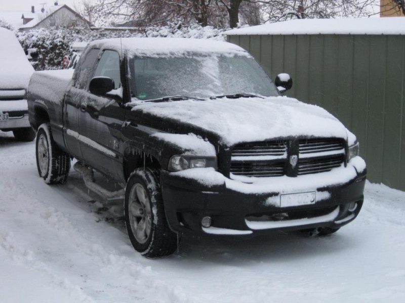 Ram im Schnee