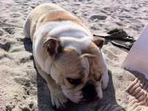 Bilder 013